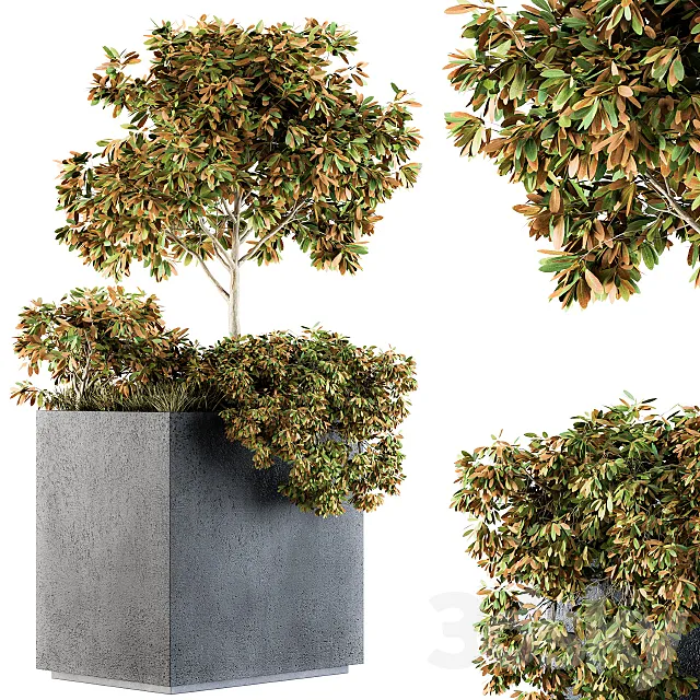 Outdoor Plants in Concrete Plant Box - Set 98 3D Model