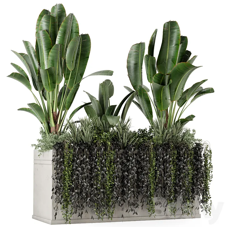 Outdoor Plants in Concrete Pot-Set 519 3D Model Free