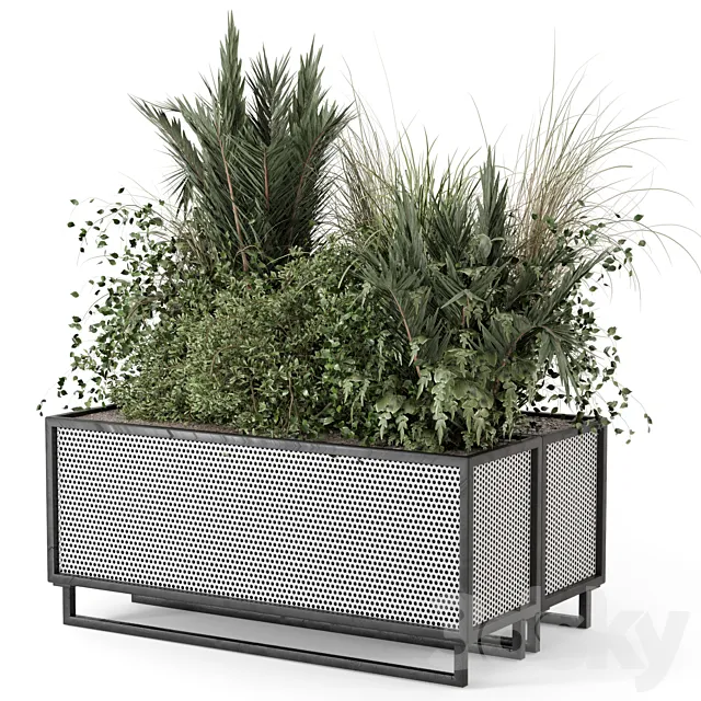 Outdoor Plants in Metal Pots - Set 2086 3D Model