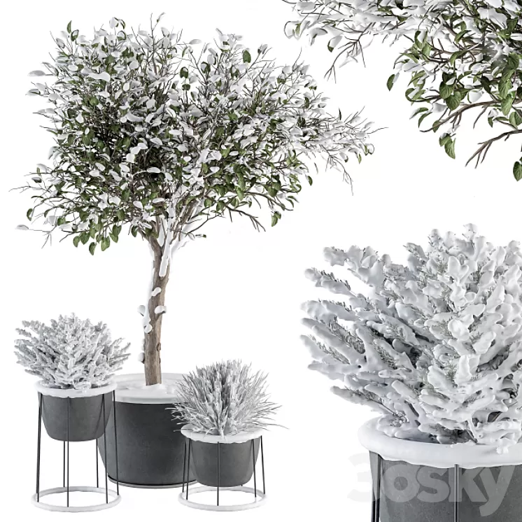 Outdoor Plants in Pot Snowy - Set 346 3D Model Free