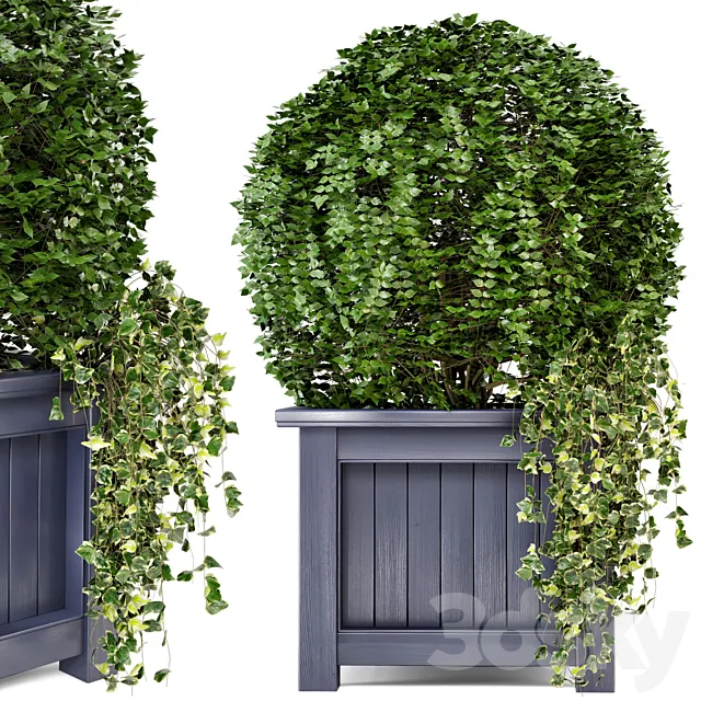 Outdoor Plants in Wooden Pot - Set 34 3DModel