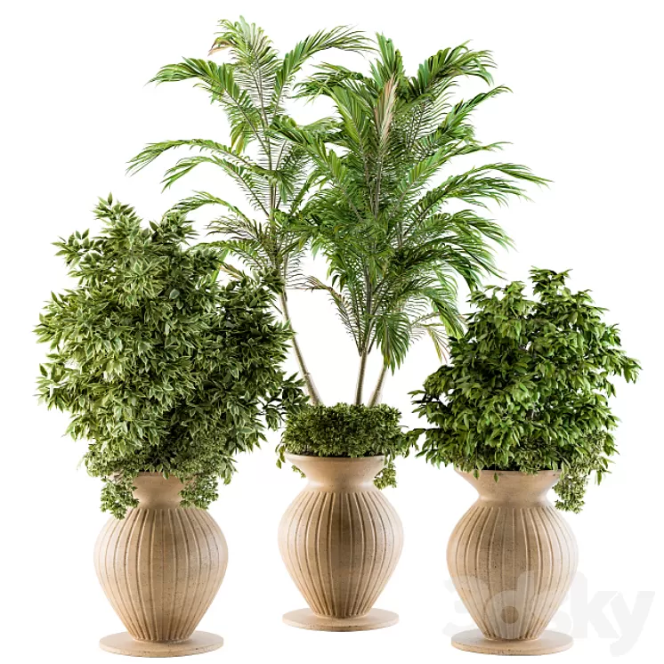 Outdoor Plants - Set 88 3D Model