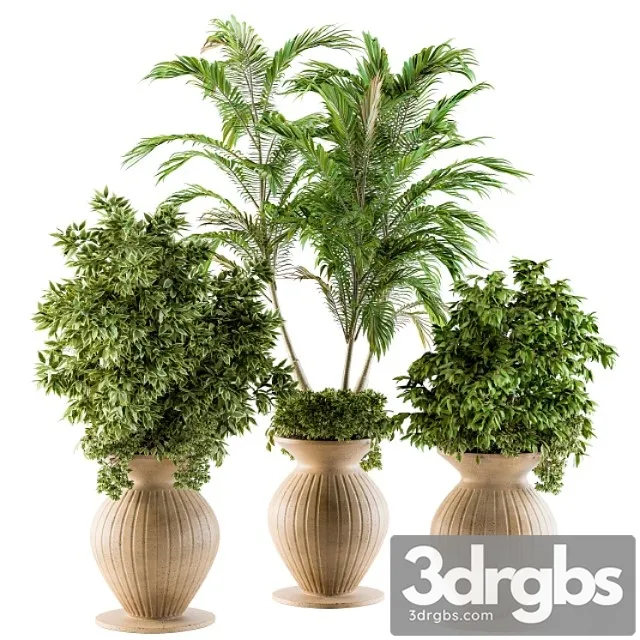 Outdoor plants - set 88