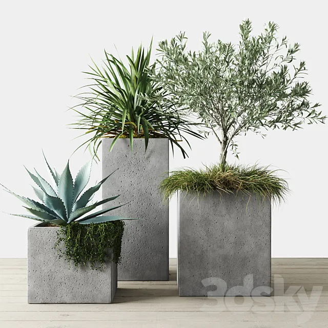 Outdoor Plants Set in Pottery Barn planters 3D Model