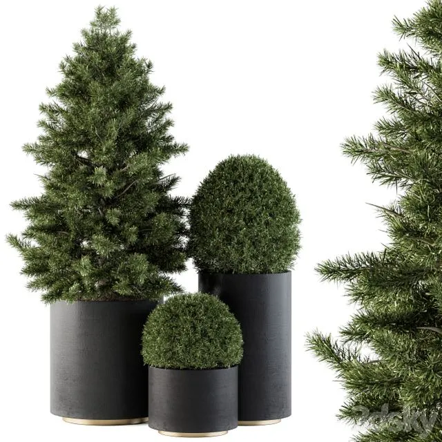 Outdoor Plants tree in Concrete Pot - Set 110 3D Model