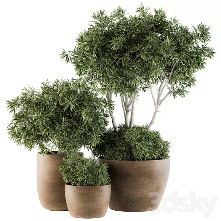 Outdoor Plants tree in Concrete Pot - Set 111 3D Model