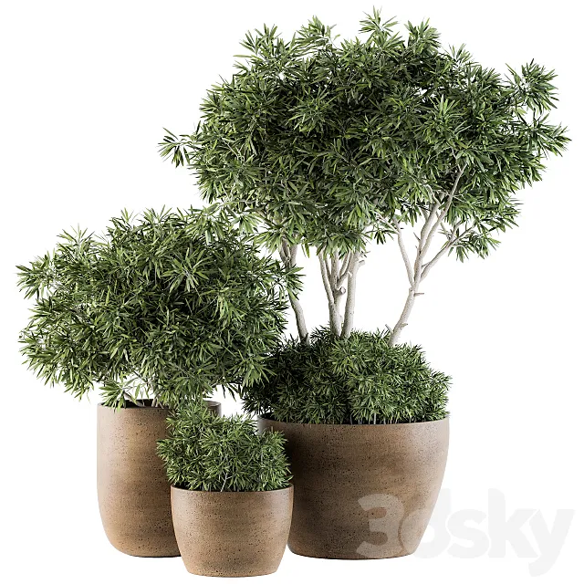 Outdoor Plants tree in Concrete Pot - Set 111 3DModel