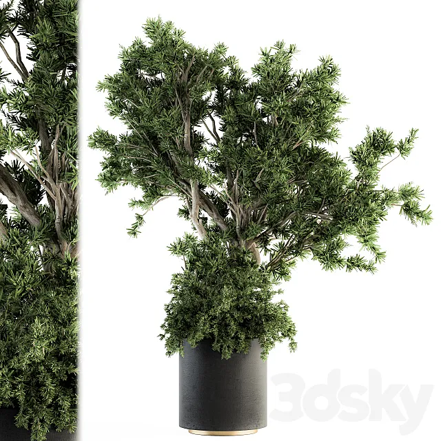 Outdoor Plants tree in Concrete Pot - Set 130 3D Model