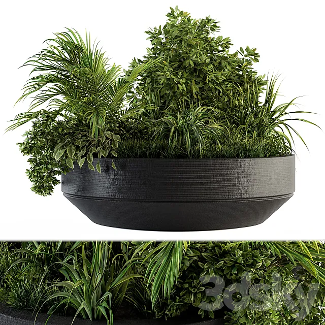 Outdoor Plants tree in Concrete Pot - Set 144 3D Model