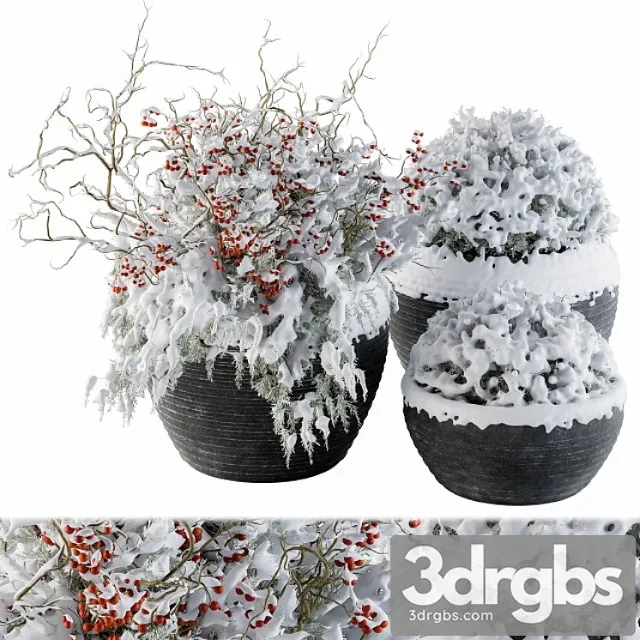 Outdoor plants tree in concrete pot snow - set 107