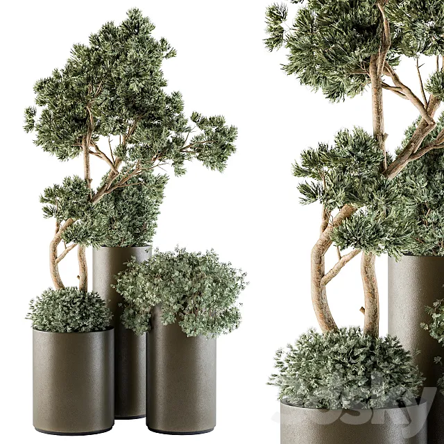 Outdoor Plants tree in Metal Pot - Set 102 3D Model