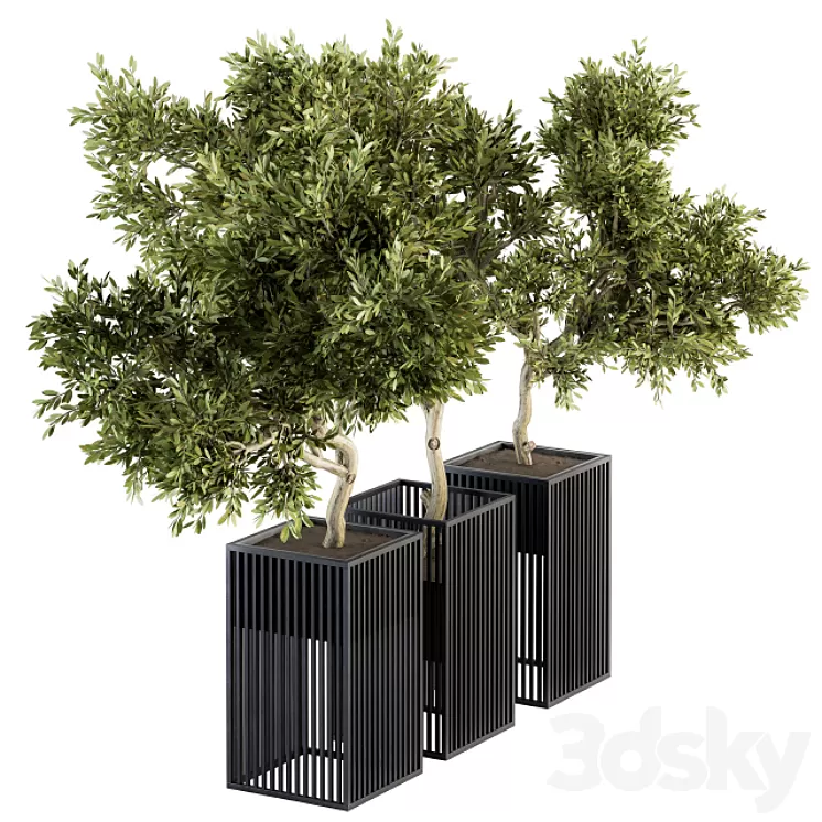 Outdoor Plants tree in Metal Pot - Set 134 3D Model