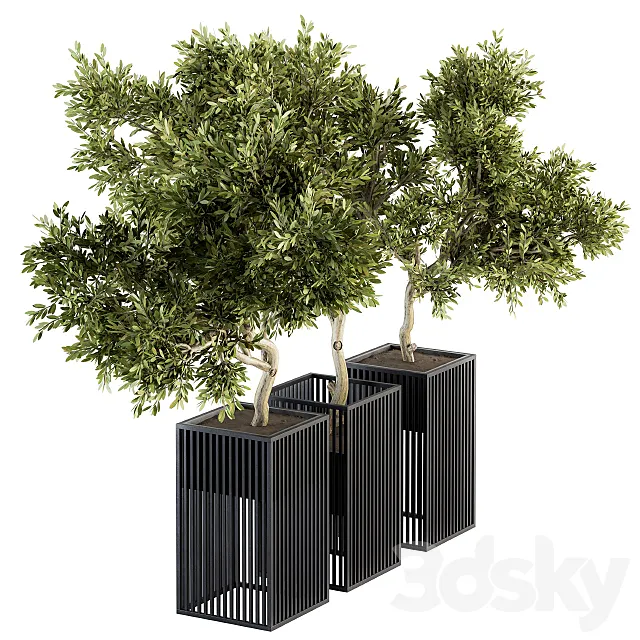 Outdoor Plants tree in Metal Pot - Set 134 3DModel