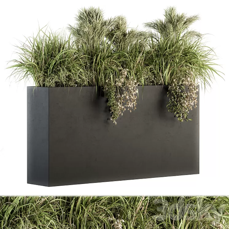 Outdoor Plants tree in Plant box - Set 124 3D Model