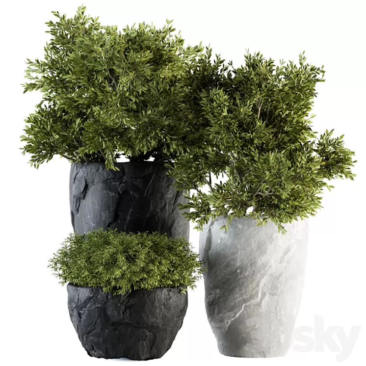 Outdoor Plants tree in Rock Pot - Set 136 3D Model