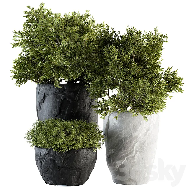 Outdoor Plants tree in Rock Pot - Set 136 3DModel