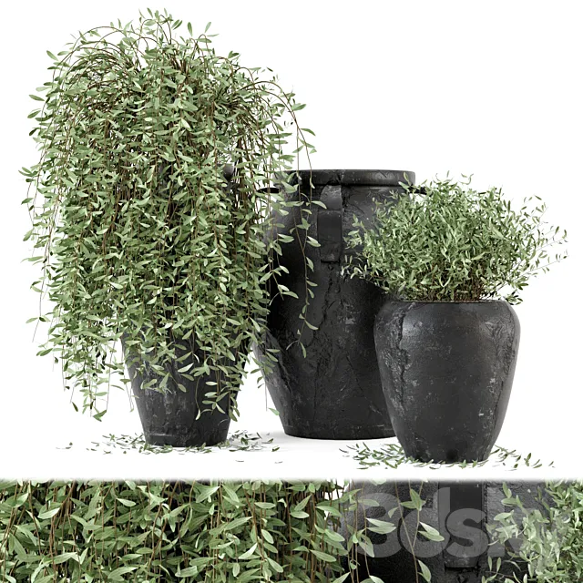Outdoor Plants tree in rusty Concrete Pot - Set 2 3DModel