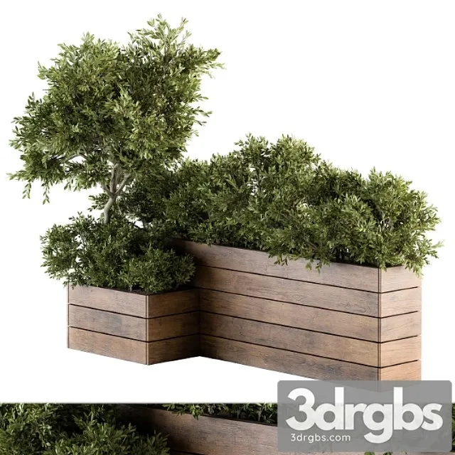 Outdoor Plants Tree in Wood Box Set 154 3D Model Free