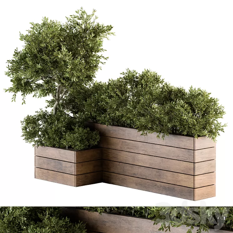 Outdoor Plants tree in Wood Box - Set 154 3D Model