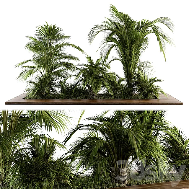 Outdoor Plants tree Tropical Garden - Set 143 3D Model