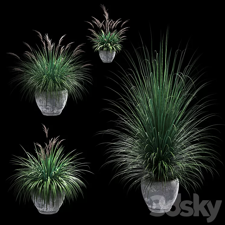 Outdoor potted plants. 4 models 3D Model