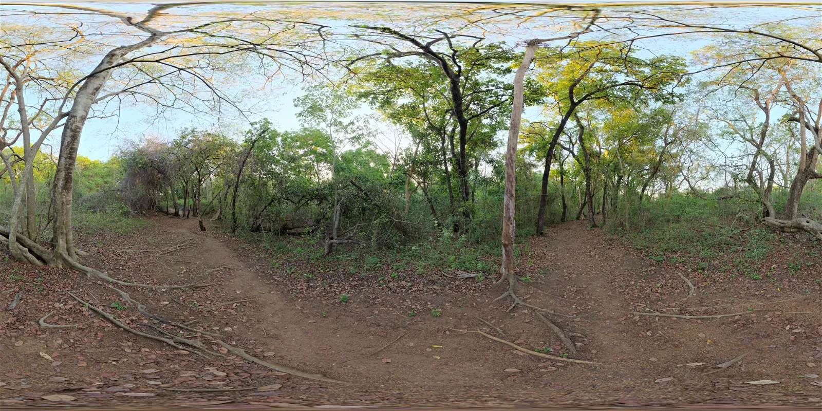 outdoor - River Walk 2