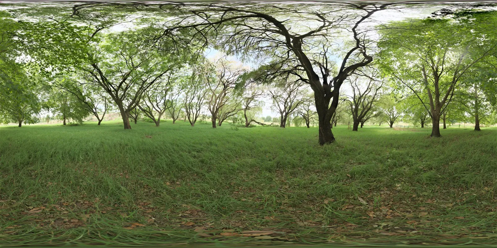 HDRI nature FREE DOWNLOAD 