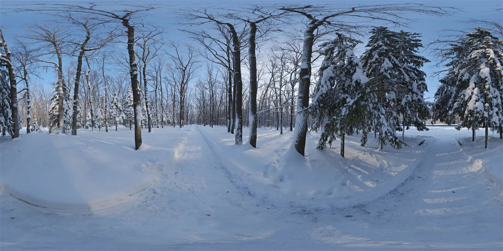 outdoor - Snowy Forest Path 01