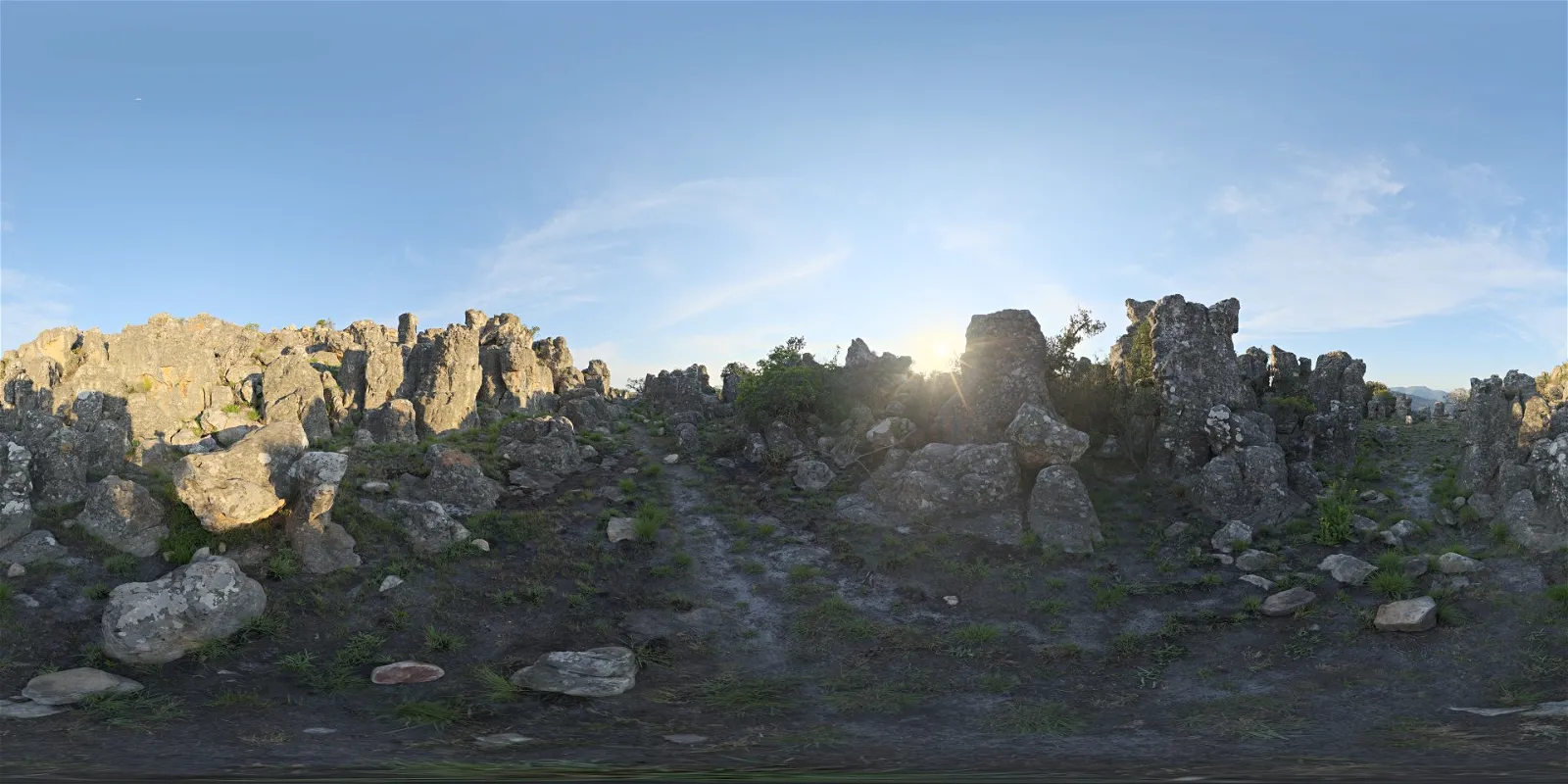 HDRI nature FREE DOWNLOAD 