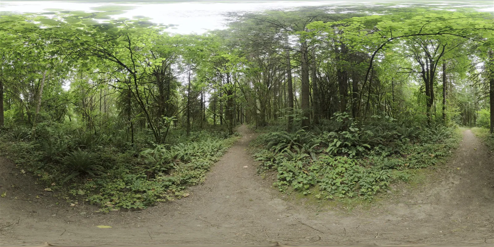 outdoor - Whipple Creek Regional Park 04