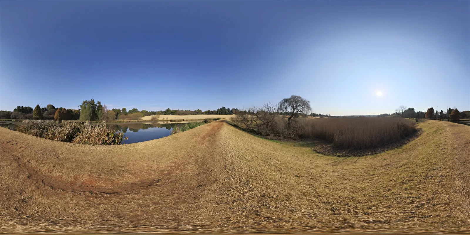 outdoor - Winter Sky