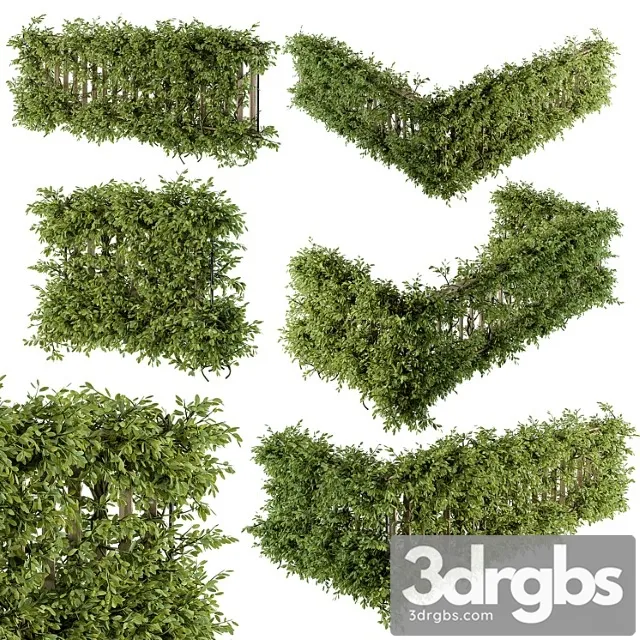 Outdoor Wood Fence With Ivy Plants Fence 07 3D Model Free