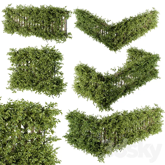 Outdoor Wood Fence with Ivy Plants - Fence 07 3DModel
