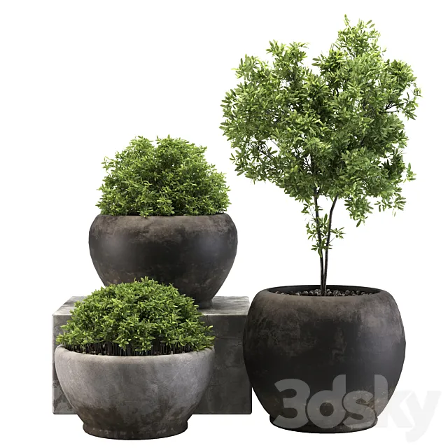 outdoor03 3D Model