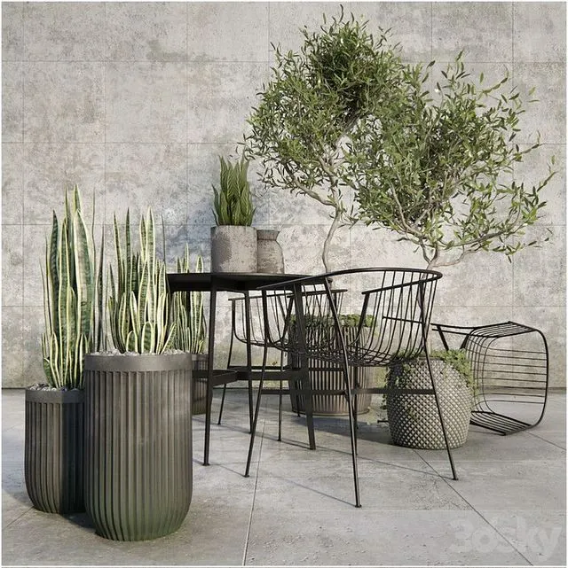 Outdoor_plant_set 3D Model