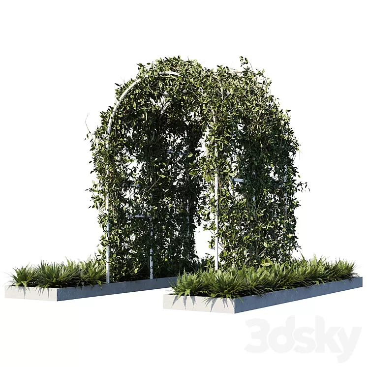 Outdoor_plants01 3D Model