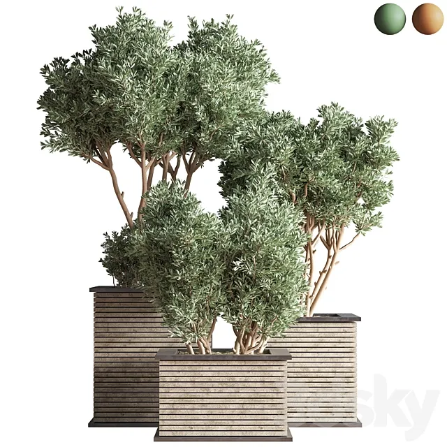 Outdoor_Plants_tree_22 3D Model
