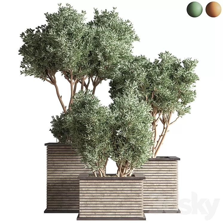 Outdoor_Plants_tree_22 3D Model Free