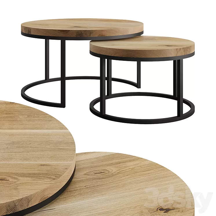Oval Coffee Table by mLOFT 3D Model