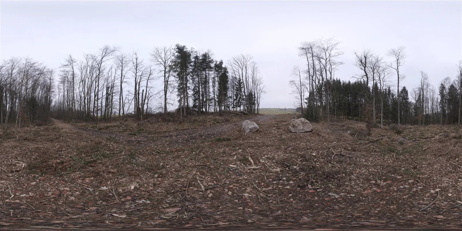 overcast - Hochsal Forest