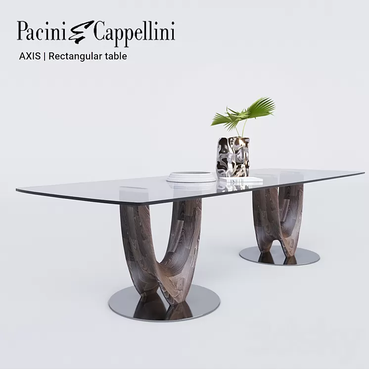 Pacini Cappellini AXIS Rectangular table 3D Model