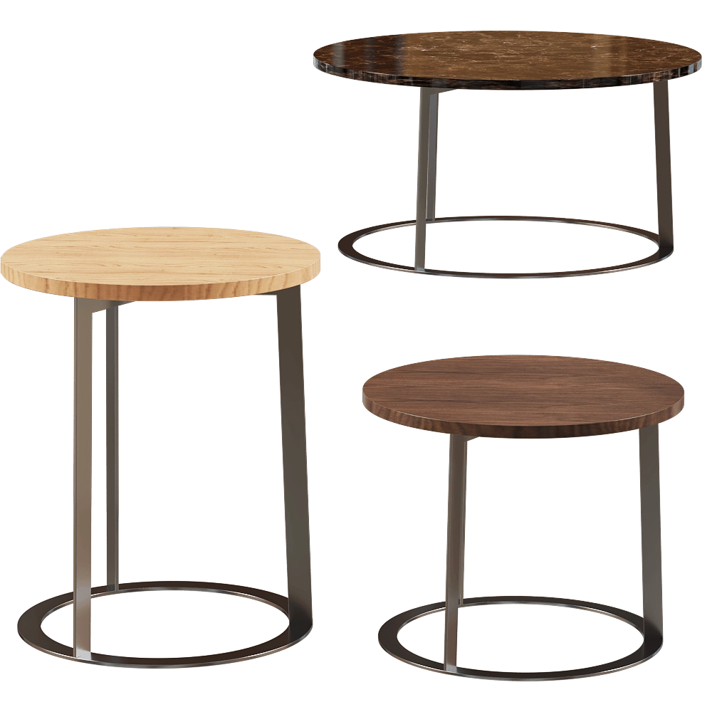 Pacini & Cappellini  - Coffee table LIBERTY 3D Model