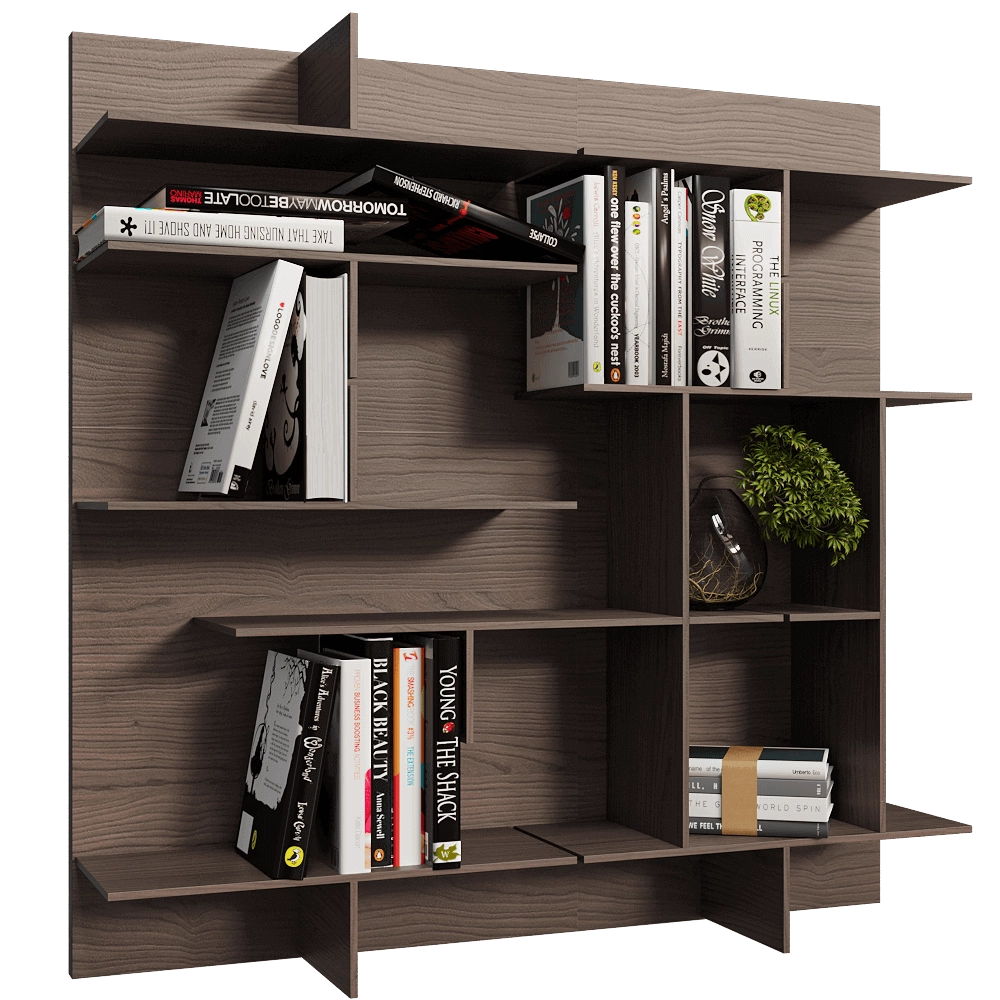 Pacini & Cappellini  - Modular wall bookcase Maze 3D Model
