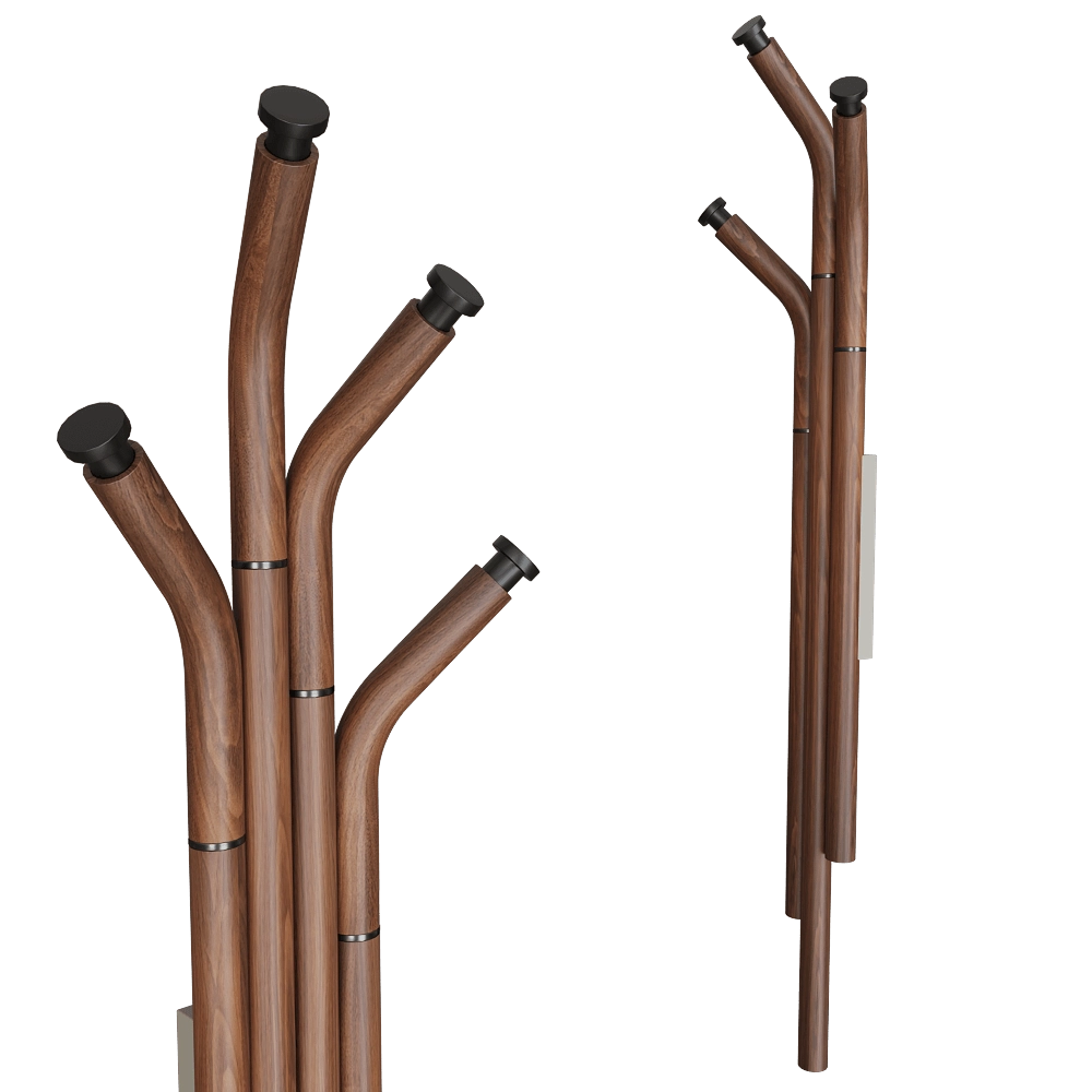 Pacini & Cappellini  - Wall coat hanger Mikado 3D Model