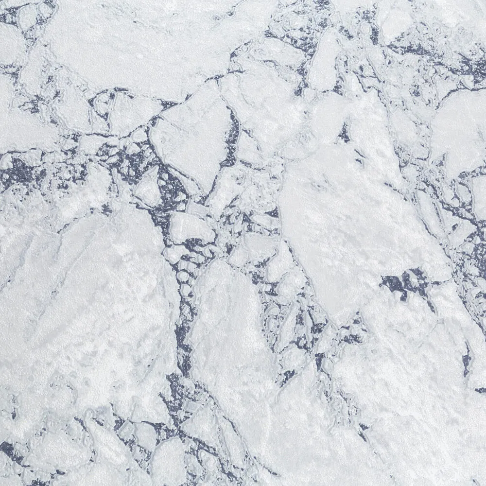 PALITRA - Wallpaper Berg 2.0 3D Model