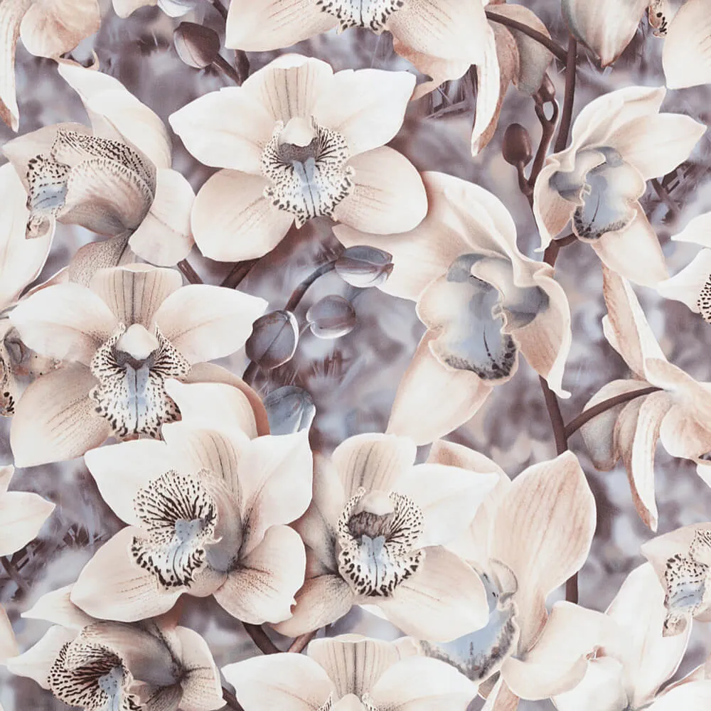 PALITRA - Wallpaper Orchidea 3D Model