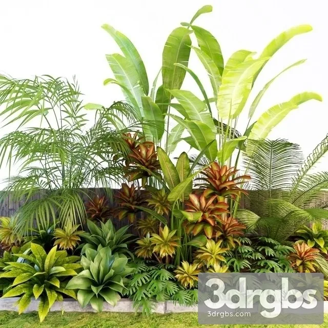 Palm Composition 3D Model Free