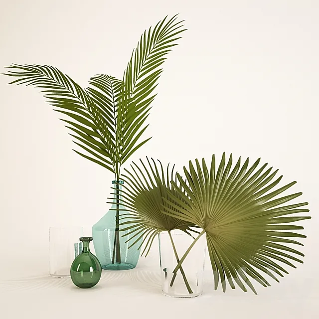 palm leaves in a vase 3DModel