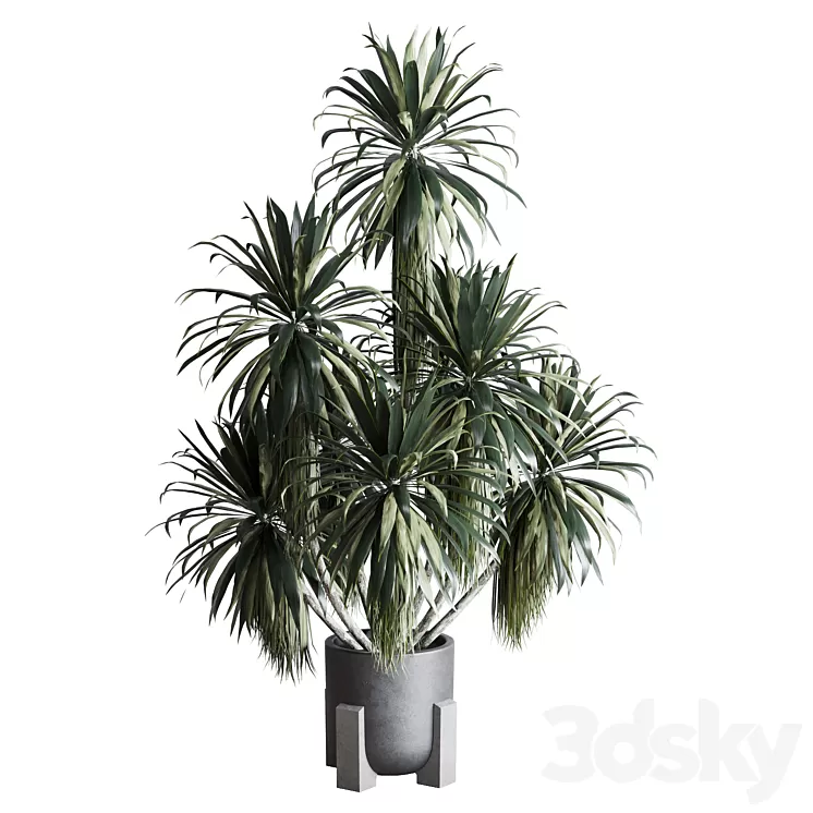 palm plant in concrete dirt vase - Indoor plant 275 3D Model Free