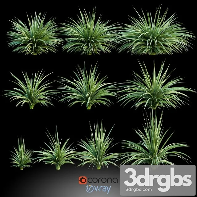 Palm Small 3 3D Model Free